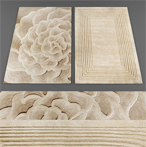 Rugs collection 110